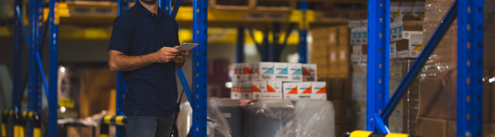 Discover Our Comprehensive Warehousing Solutions